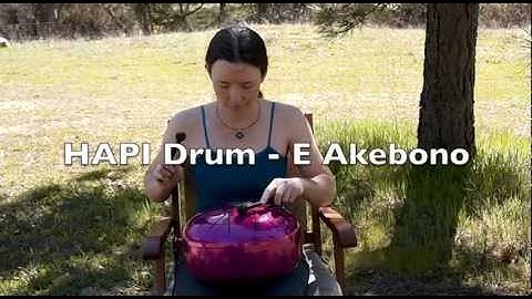 HAPI Drum E Akebono with custom color