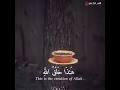 Beautiful Quran Recitation | Tilawat WhatsApp Status Video 2018 Whatsapp Status Video Download Free