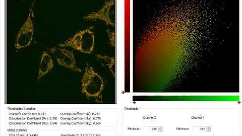 Performing a Colocalization Analysis in Volocity 3D Image Analysis Software
