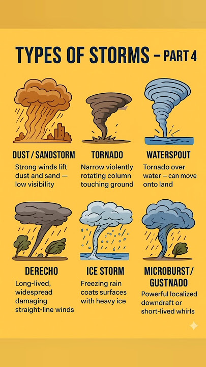 Types of Storms 🌪️⚡ | Thunderstorm, Cyclone, Tornado, Hurricane, Blizzard & More | Natural Disasters