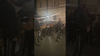 Download Lagu Mariachi band #italytravelguide #mariachi #mariachiband #mariachimusic #famous #music #band #enjoy MP3