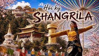 Shangrila | Ấn tượng về một Tây Tạng thu nhỏ - Đi du lịch tự túc có khó như lời đồn? screenshot 5