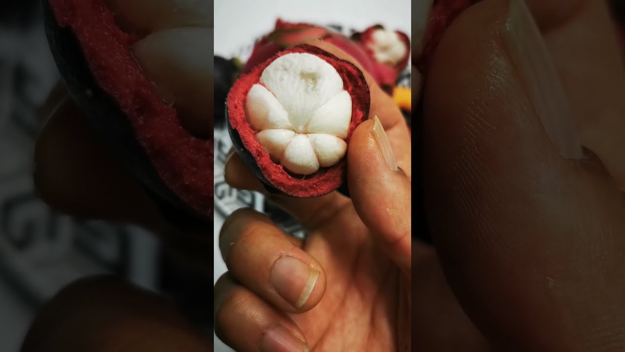 알고 먹으면 더 맛있다! '망고스틴의 신기한 비밀'!!