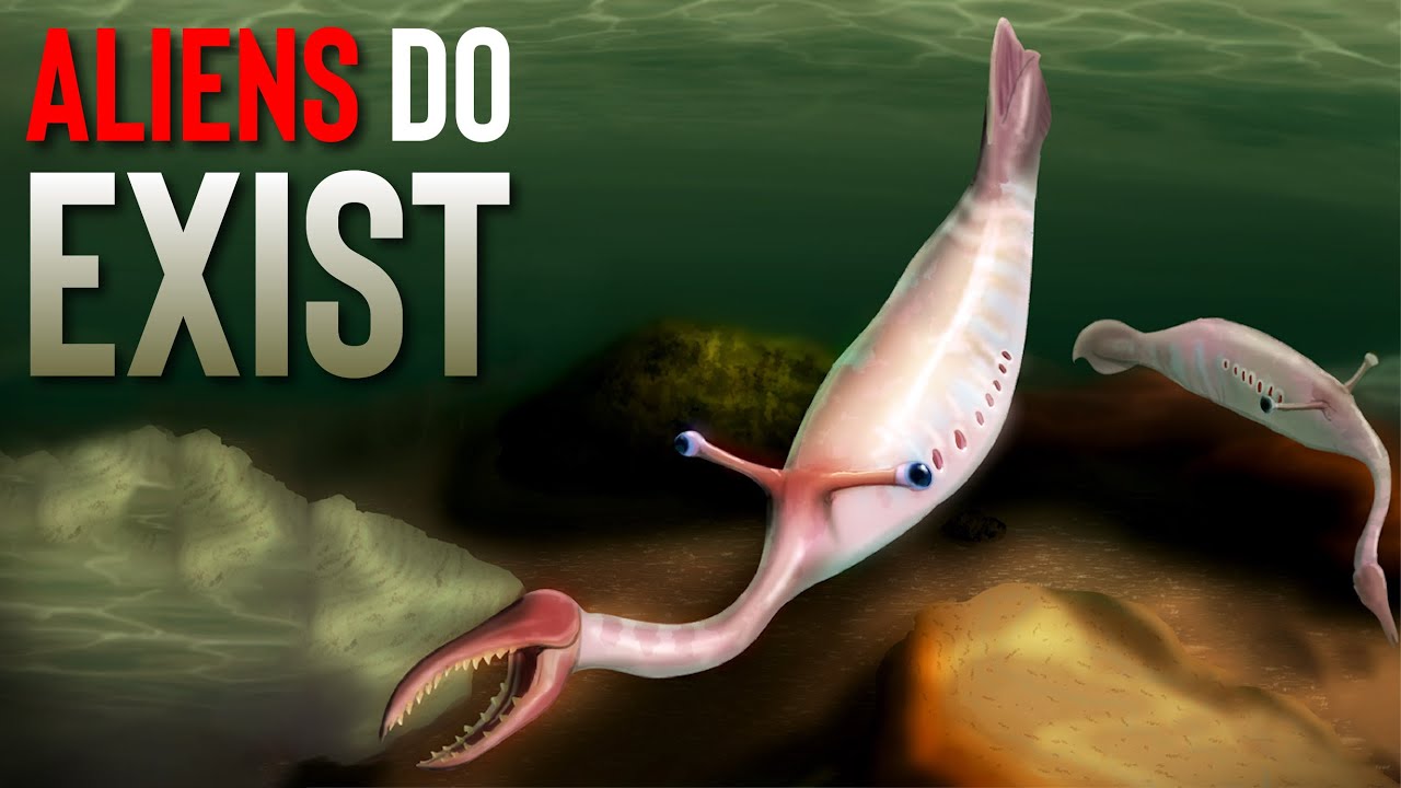 Tullimonstrum: The Prehistoric Monster With a MIND-BENDING Shape | This  Shouldnt Be Real