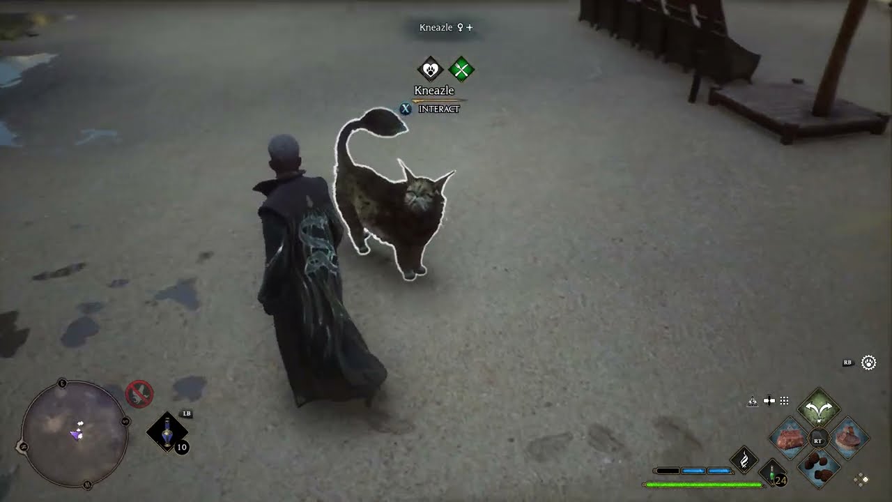 2 Rare Kneazles HogWarts Legacy