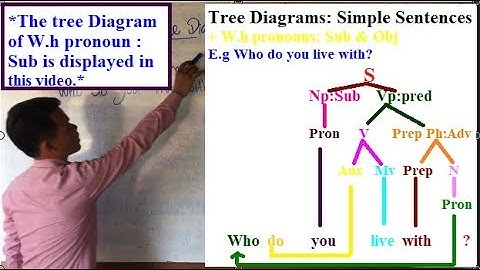 Learning English Grammars:Tree Diagrams Simple Sentences 5