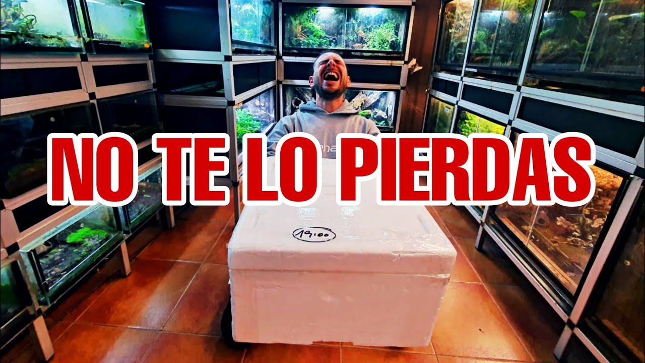 Unboxing RANERO! Os enseño novedades!!! 🐸🐸🐸🐸