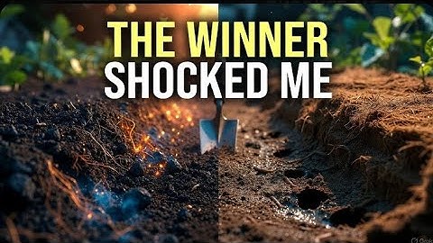 Stop Guessing! Biochar or Cardboard for Soil - I Did the Ultimate Test