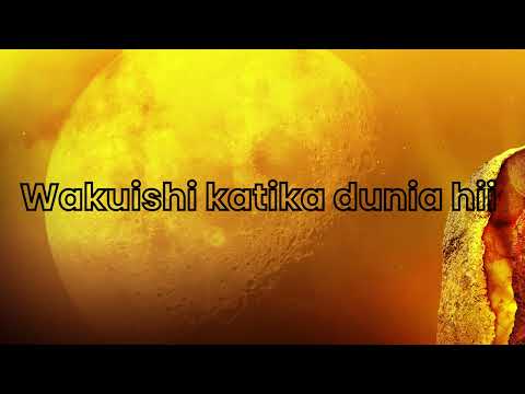 MSANII MUSIC GROUP OLE WENU Official Video Lyrics By MM Studioz Tz