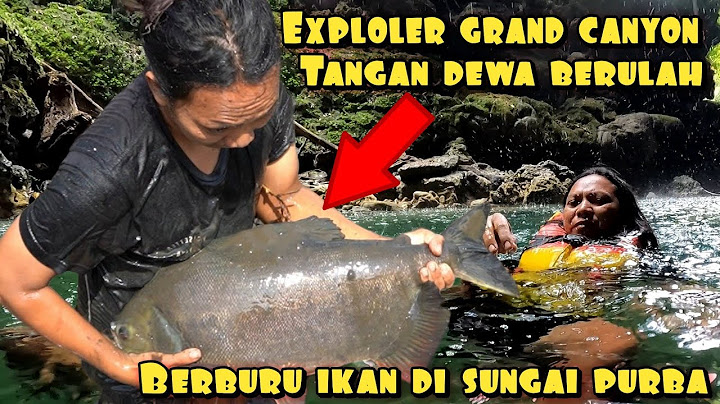 BERBURU IKAN DI SUNGAI PURBA DENGAN TANGAN KOSONG