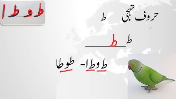 Lesson#36 letters of Urdu introduction sound  new word with toey اردو حروف تہجی- ط  haroof e tahaji