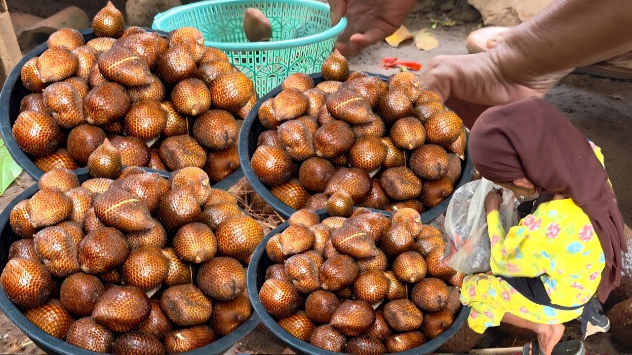 SEMAKIN VIRAL | JUALAN RUJAK SALAK HABIS 2000 BUTIR SEHARI