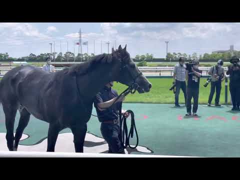 マッドクール🐎坂井瑠星騎手ウィナーサークル