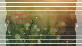 October 1 Saint If The Day St.kochu Thresya ഒകടബർ 1 അനദന വശദധർ വ.കചചതരസയ