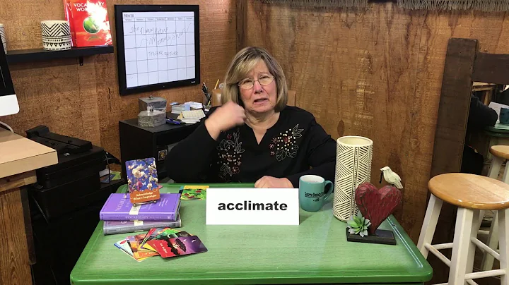 Nancy Peters Show
