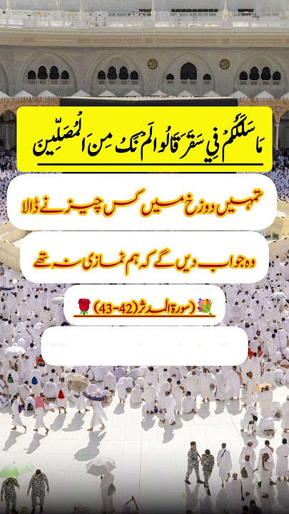 #islamicvideo #hadessmubarak #quotes #viraltagsforyoutubevideos #beautiful #viraltags