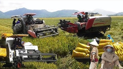 nhiều máy cắt binh tóc độ cắt lúa ô em công 800K giá bán được 6300₫K tạo 72# maibangtv 