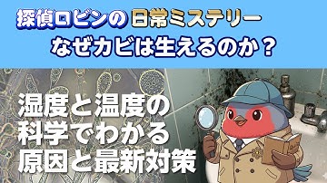 なぜカビは生えるのか？湿度と温度の科学でわかる原因と最新対策