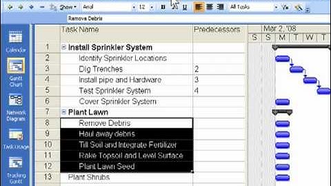 Versatile Company Network Formatting in MS Project 2007.mov