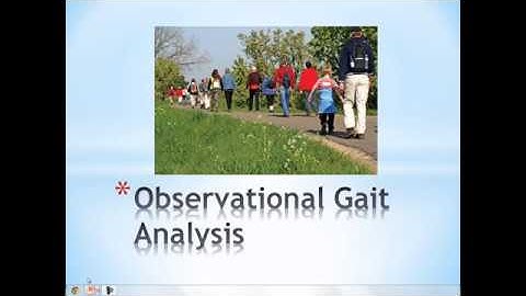 Observational Gait Analysis |  Education for Health and Fitness Professionals