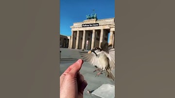 صوتٌ لا يوصف " القارئ نور الدين سليم نوري " 🌙 #islam#muslim#video#new#status