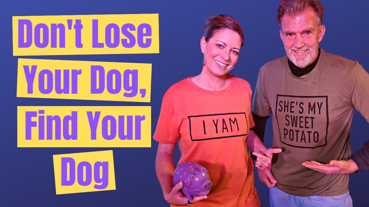 What To Do If You Lose Your Dog YouTube what-to-do-if-you-lose-your-dog-youtube
