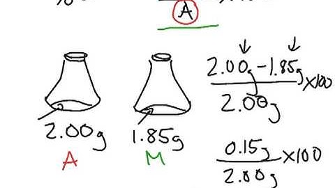 Percent Error Worksheet Answer Key Jessie