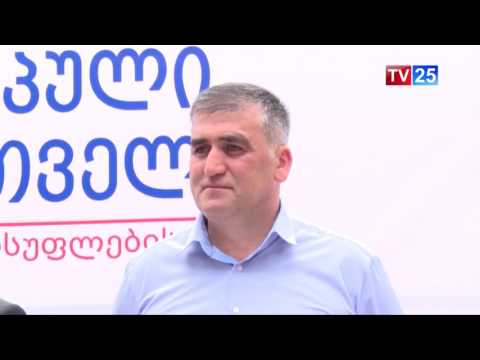 \"ევროპულმა საქართველომ\" ხულოსა და შუახევში გამგებლობის კანდიდატები წარადგინა