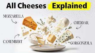 Every cheese Explained in 8 Minutes (Which One Is Best?