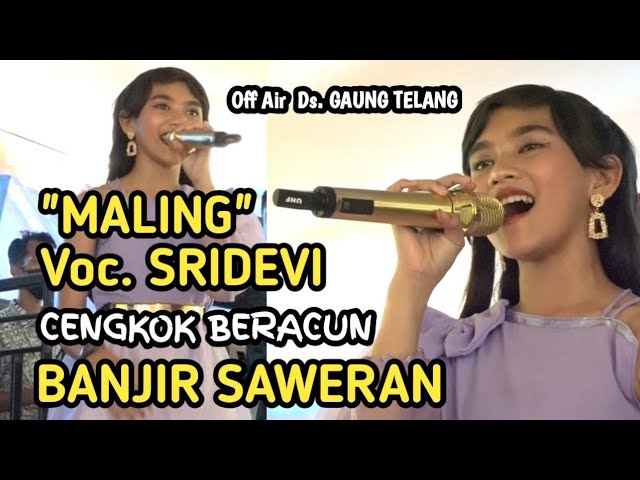 MALING, Off air Sridevi di ds. Gaung Telang || Cengkok Beracun turun panggung banjir saweran class=