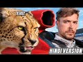 World fastest formula car Vs Cheetah l Racing Between Car Vs Cheetah l