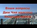 Ответы на ваши вопросы❗️, красоты Дим Чай🍀, квартира-мечта😎