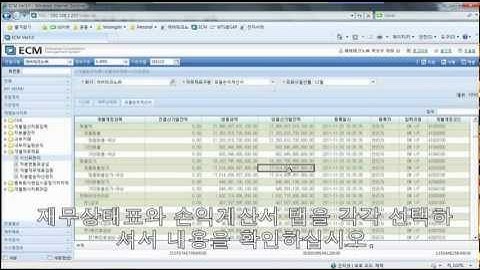 SAP ERP FI Module vs ECM Interface