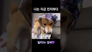 내 목표는 연기개상 #cute