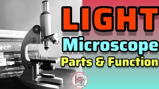 Light Microscope :Parts and Functions @paperpenbiology