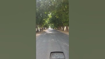 تلاوة سورة السجدة بصوت عبد الرحمن مسعد #عبدالرحمن_مسعد #سورة_السجدة
