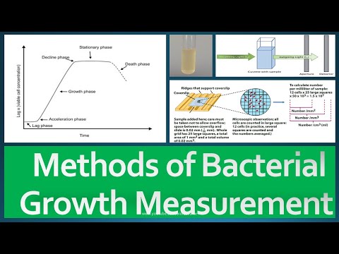 Growth Measurement Methods