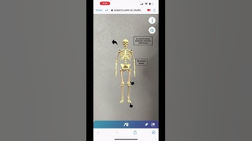 Interactive learning game for biology textbook with augmented reality created on Web-AR.Studio #AR
