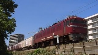 【JR貨物】４０９５レ ＥD７６-１０１５