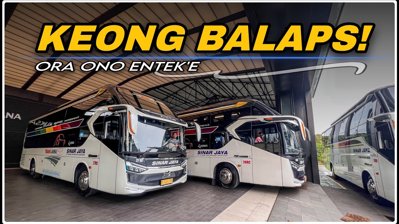 Bus Mewah Sinar Jaya Fresh Dari Karoseri! Hino RN 285 Legacy SR3 Neo Suites Class & Executive 