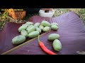 Ăn Nhót Xanh Chấm Gừng