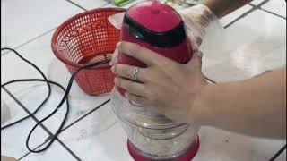 Baso Rebung Dendrocamalus Aspe I Baso Rechu