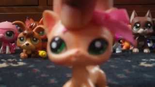 LunaStars Channel Trailer #1 {2014} @Lunariffic