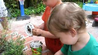 ladybugs.AVI