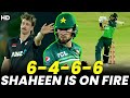 Shaheen afridi is on fire  expensive last over 6466 pakistan vs new zealand  pcb  m2b2a