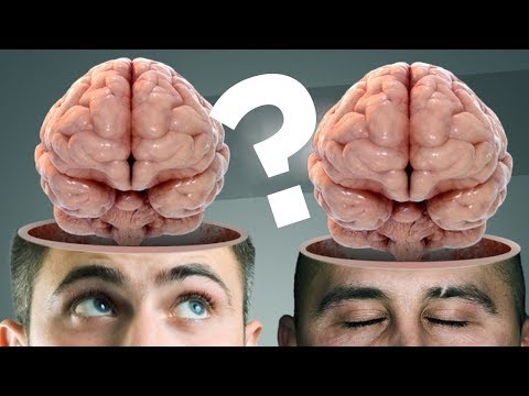 Vídeo: ¿Es Posible El Trasplante De Cerebro Humano? - Vista Alternativa