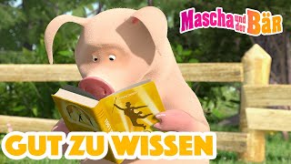 Mascha und der Bär Gut zu wissen  Episodensammlung  Masha and the Bear 2023