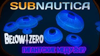 Subnautica Below Zero / Новая локация, Молодые императоры? / #10