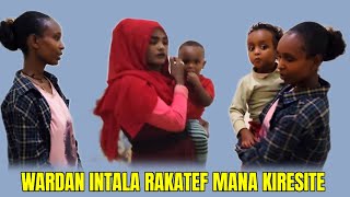 Download Lagu 🛑Wardan Intala Rakatef Mana Kireesiyef🛑October 25, 2025 MP3 Download Lagu 🛑Wardan Intala Rakatef Mana Kireesiyef🛑October 25, 2025 MP3