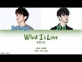 Exok   what is love color coded hanromeng lyrics